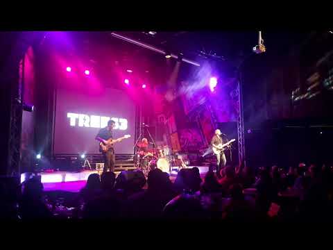 Tree63 - A Million Lights (Live at Emperors Palace Barnyard) April 2025