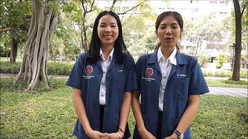 Project Nurse Scheduling using PSO ML9 Silpakorn University