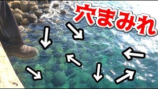 海中にある穴にエサを入れて魚を釣る！