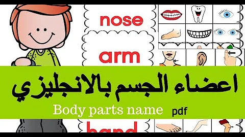 اعضاء الجسم بالانجليزي للاطفال