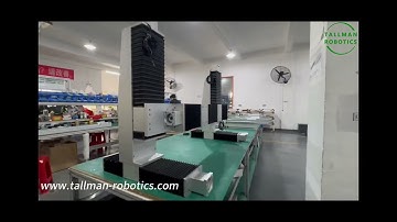 IP65 Waterproof Linear Robot,Dust Proof Linear Gantry System