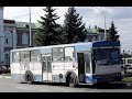 Польские автобусы Jelcz в России