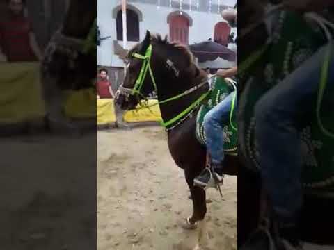 المعلم محمد ابراهيم البربري