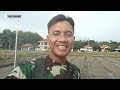 Persemaian Padi Inpari 32 HDB