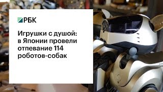 Игрушки с душой: в Японии провели отпевание 114 роботов-собак Игрушки с душой: в Японии провели отпевание 114 роботов-собак