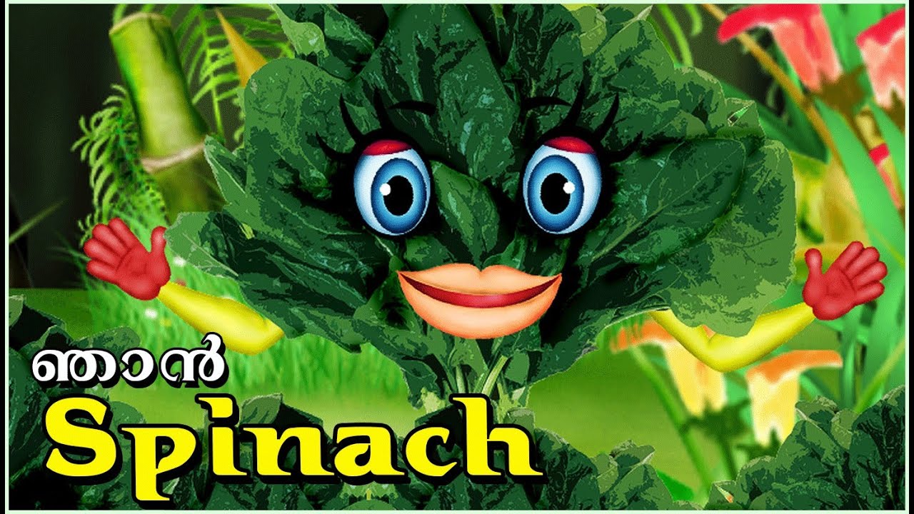 The Speaking "Spinach" Malayalam Kids Animation YouTube