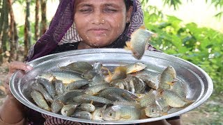 Village Food Koi Mach Vuna Recipe Delicious Bengali Cooking Climbing Perch Fish Curry Tel Koi Recipe