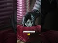 Стажеры НАСА украли лунные камни ради секса #Shorts