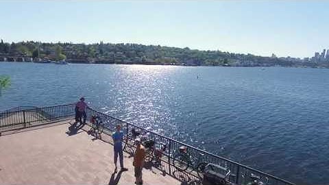 The QorusDocs story: Where it all began