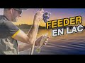 Pche au feeder dans un lac gant les poissons seront ils  lheure