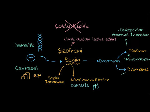 Şizofreni Nedir? (Psikoloji / Davranış) (Sağlık Bilgisi ve Tıp)