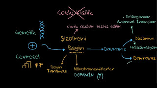 Şizofreni Nedir? (Psikoloji / Davranış) (Sağlık Bilgisi ve Tıp)