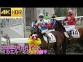 【４Ｋ現地撮影】2020年2月25日大井競馬場ミカエル・ミシェル騎手全騎乗