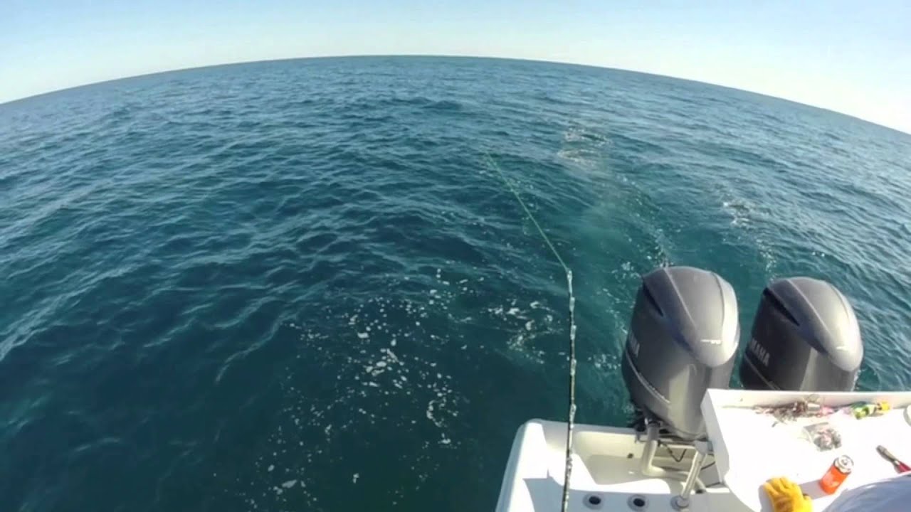 Grand Cay Bahamas Fishing Trip YouTube
