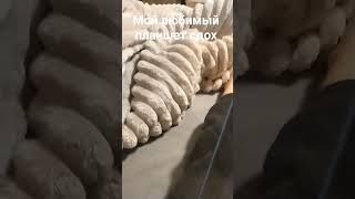 мой любимый планшет сдох