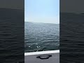 Ryds 430 GT + Tohatsu 30 hv
