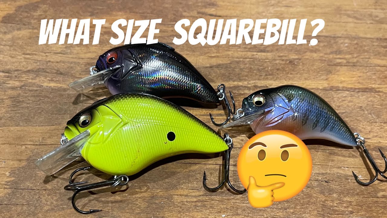 Lot of 4 Squarebill Crankbaits. Rattling Dives to 4' 海外 即決 - スキル、知識