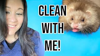 How I clean my Ferrets! | Cleaning Routine