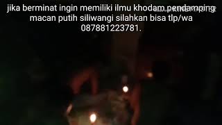 Ritual pengisian khodam macan putih siliwangi