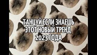 🧚‍♀️ТАНЦУЙ ЕСЛИ ЗНАЕШЬ ЭТОТ НОВЫЙ ТРЕНД 2023 ГОДА🧚‍♀️ ❗САМЫЕ НОВЫЕ❗