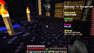 play.rarycraft.co
