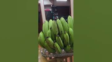 Nải chuối to nhất Việt Nam #chunchin #banana #relaxing #chuoi #kylucvietnam #sieutokhonglo #fruit