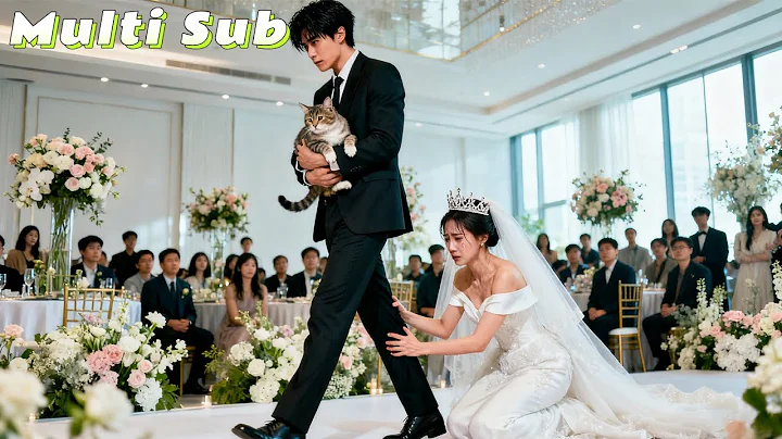 He Walked Away From Bride to Save Mistress’ Cat—Now She’s the CEO He Can’t Reach!