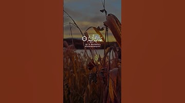#جمعة_مباركة #اكسبلور #يارب #راحة_نفسية #حالات_واتس #لايك #دويتو #تيك_توك #سورة_الكهف