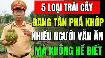 Người Bị Đau Khớp Tuyệt Đối Không Được Ăn 5 LOẠI TRÁI CÂY NÀY Nếu Muốn SỤN KHỚP KHOẺ MẠNH