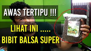 jangan sampe tertipu kalo beli bibit balsa !!!