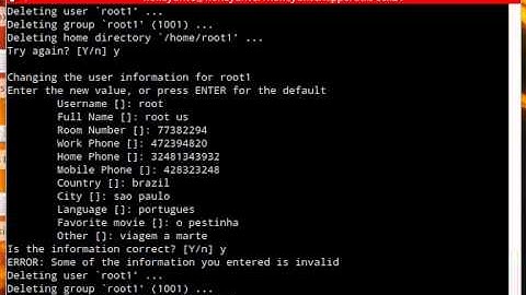 Script Kiddie caught in Honeypot