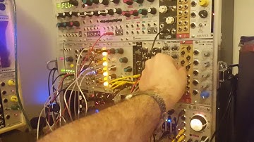 Basimilus Iteritas Alter noodling