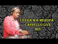 Ceega Wa Meropa - Cappello Live Mix