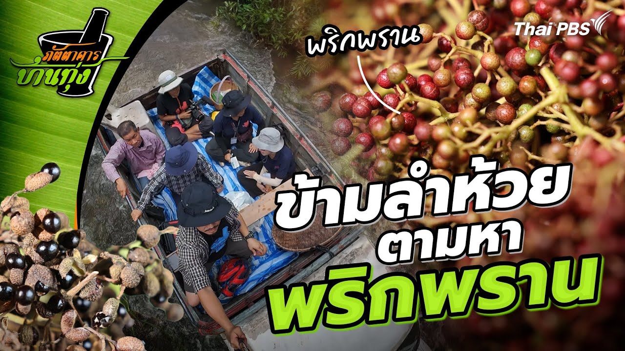 พริกพราน | ภัตตาคารบ้านทุ่ง