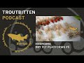 Emergers - Dry Fly Platforms #-5 The Troutbitten Podcast - S18, Ep5