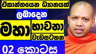2025 මහා භාවනා වැඩසටහන 02 කොටස | හසලක සීලවිමල හිමි | Hasalaka Seelavimala thero | බන | Bana | bawana