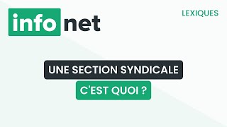 Une section syndicale, c'est quoi ? (définition, aide, lexique, tuto, explication)