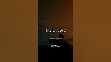 لا يكلف الله نفسا إلا وسعها لها ما كسبت وعليها ما اكتسبت -سورة البقرة -العجمي #القران_الكريم #فلسطين