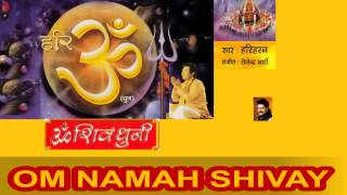 Om Namah Shivay Dhun By Hariharan I Full Audio Song Juke Box