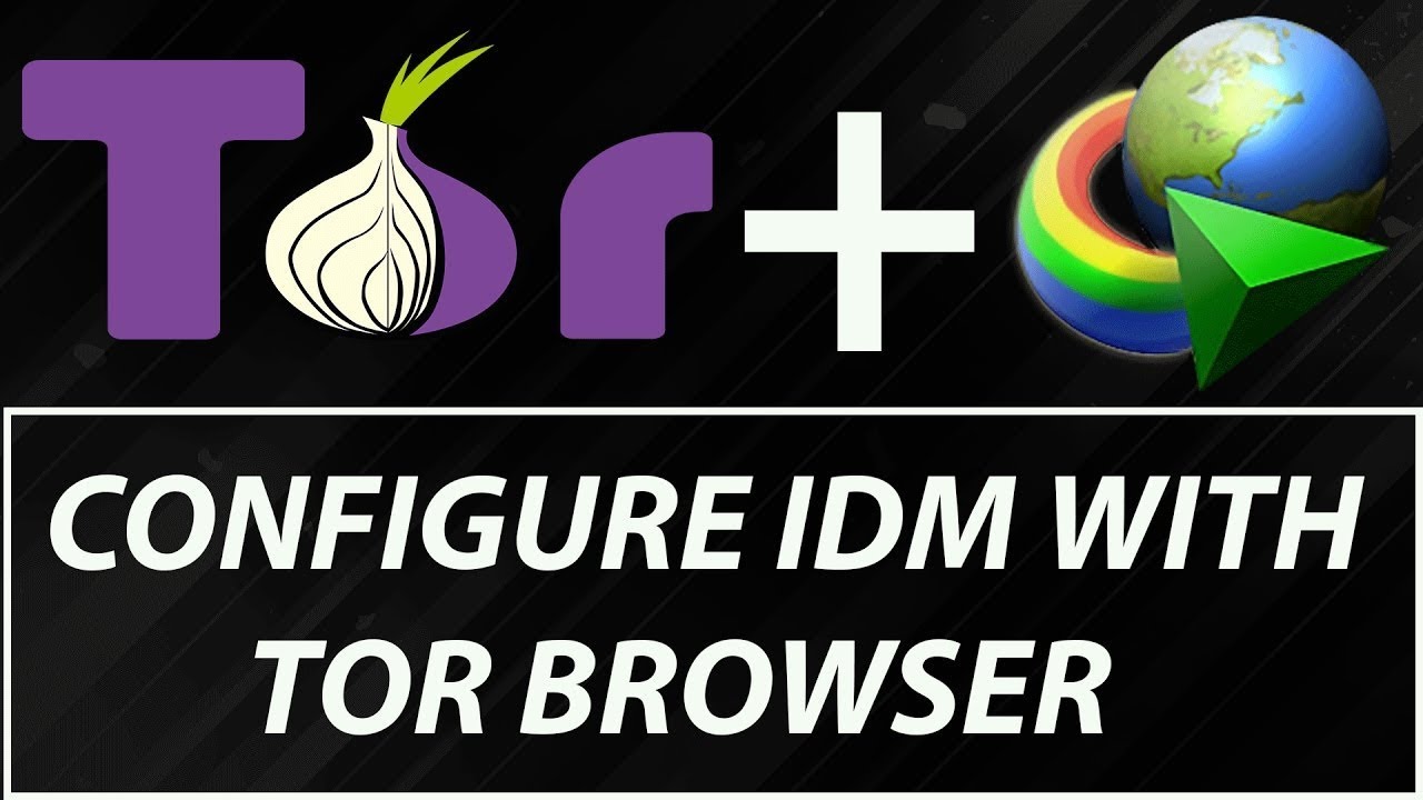 tor browser internet download manager mega2web