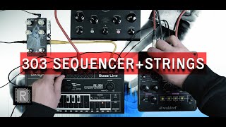 Re-303 SEQUENCER + WALDORF STREICHFETT STRINGS | riemannkollektion.com