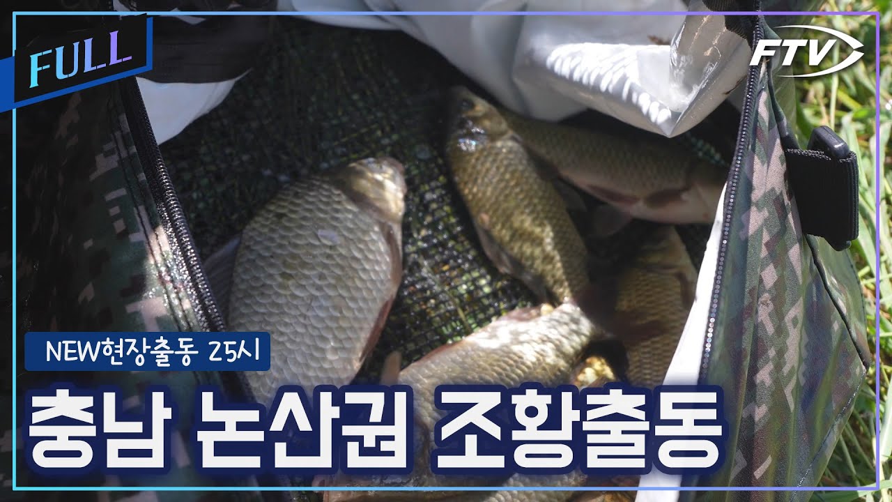 충남 논산권 조황출동[NEW현장출동25시/59회]