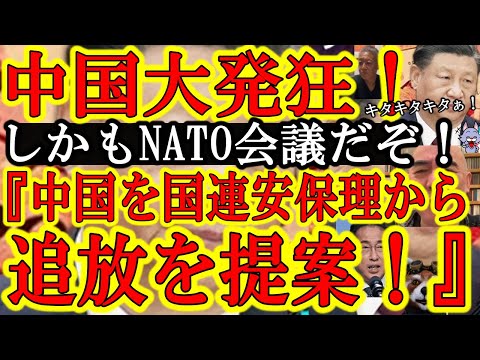 【キタキタキタぁ！NATO会議で『中国を国連安保理から消滅させるべきだ！』待ってたその言葉ぁ！】中国政府、国内マスコミを巻き込んで大発狂ｗしかもどうした岸田政権！林外相『処理水は中国が何を言っても放出