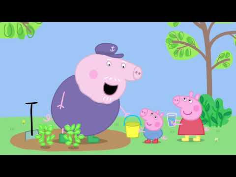 Peppa Pig S04E29