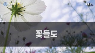 [CCM노래방]  꽃들도