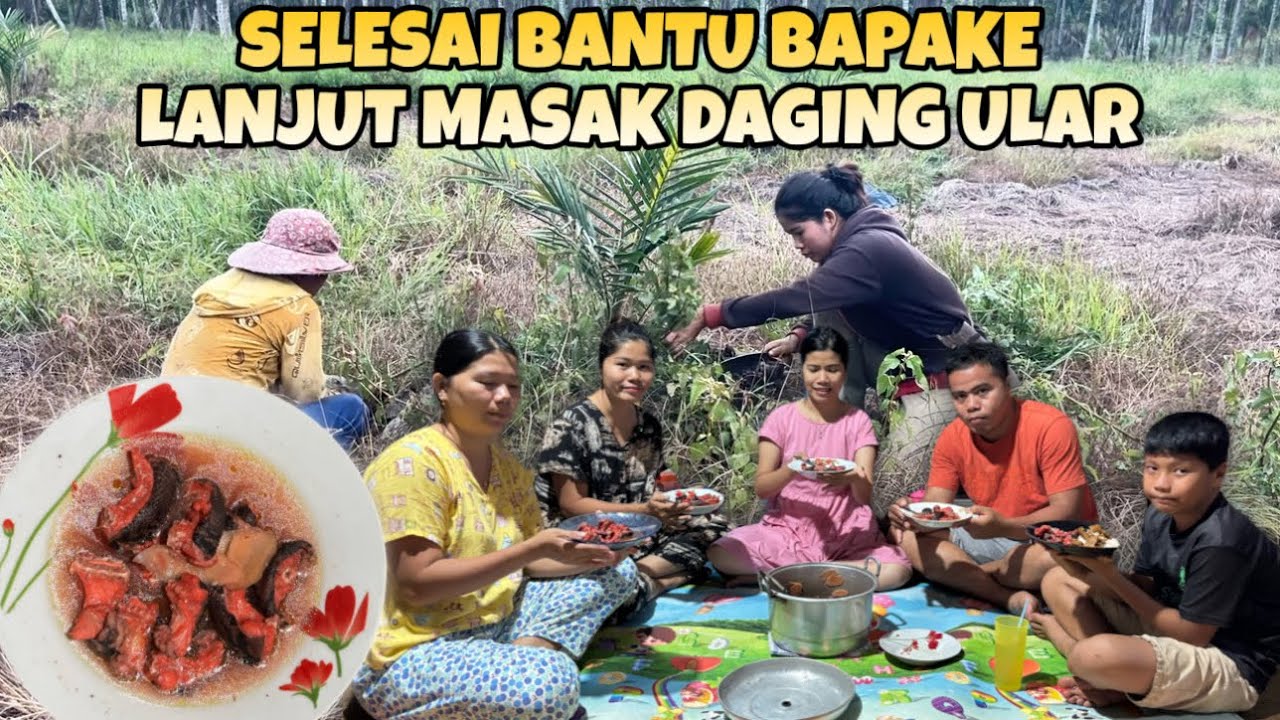 BANTU BAPAKE BERSIHKAN RUMPUT SAWIT LANJUT MASAK DAGING ULAR 