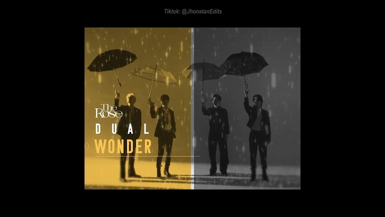 The Rose (더로즈) – Wonder [TRADUÇÃO] 