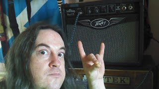 peavey valveking royal 8