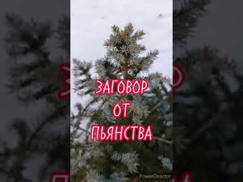 Заговор от пьянства, можно без ведома больного.