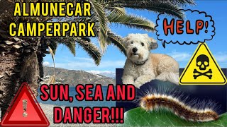 KILLER Processionary Caterpillars, Sun & Sea | Almunecar Camperpark: High on a Hill, Perfect Escape!